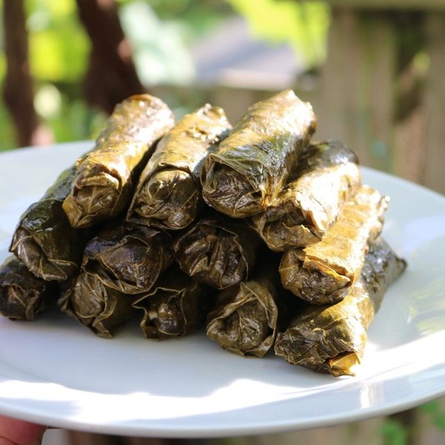 Zeytinyağlı Yaprak Sarma
